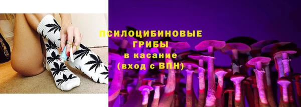 спайс Арсеньев