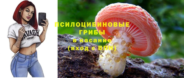 а пвп мука Армянск